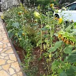 With Parking Space Kraj, Pasman - 22566