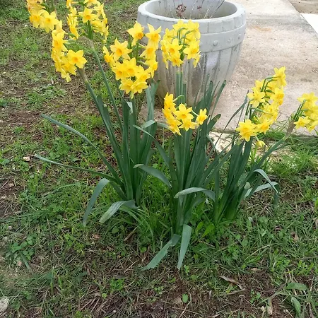 With Parking Space Kraj, Pasman - 22566