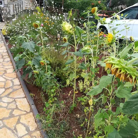 With Parking Space Kraj, Pasman - 22566